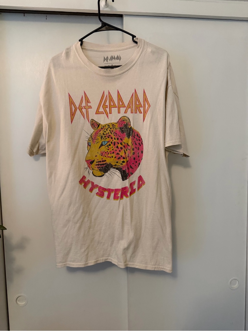 Def Leppard Graphic Short Sleeve Tee in Cream